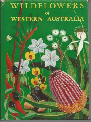 Wildflowers of Western Australia