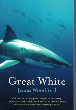 Great White