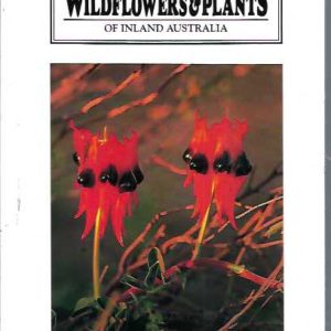 Wildflowers and Plants of Inland Australia