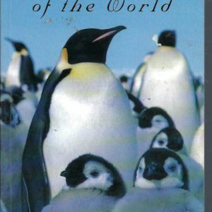 Penguins of the World