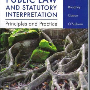 Public Law and Statutory Interpretation: Principles and Practice