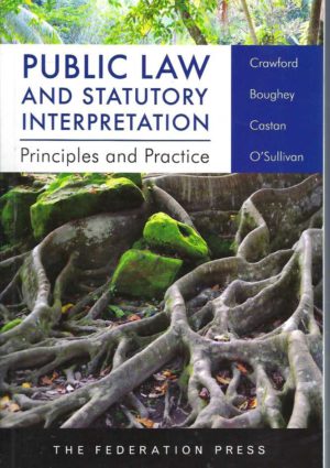 Public Law and Statutory Interpretation: Principles and Practice