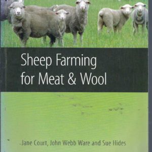 Sheep Farming for Meat and Wool