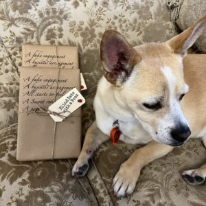 BLIND DATE WITH A BOOK: A fake engagement