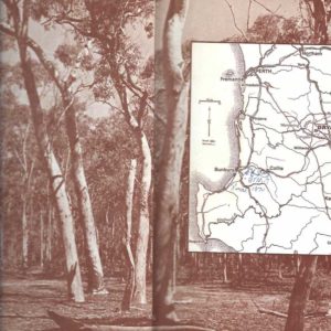 DRYANDRA: The Story of an Australian Forest