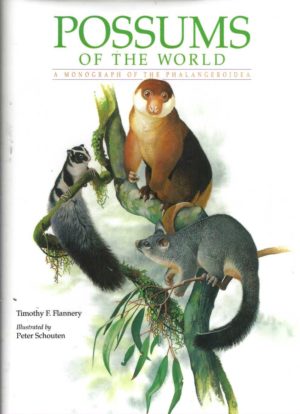 Possums of the World: A Monograph of the Phalangeroidea