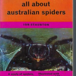 All about Australian Spiders