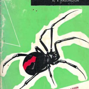 Know your Australian Spiders and Ticks