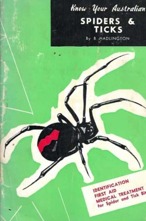 Know your Australian Spiders and Ticks