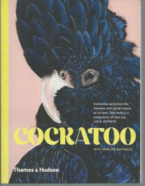 Cockatoo