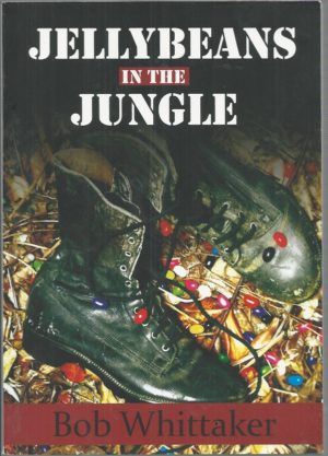Jellybeans in the Jungle: Vietnam - From Teacher to Nasho and Back
