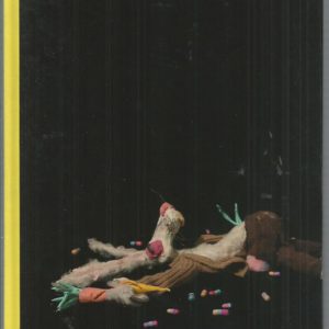 Nathalie Djurgberg & Hans Berg : Secret Garden, The.