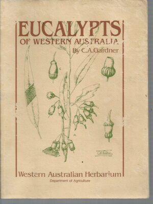 Eucalypts of Western Australia