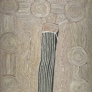 Papunya Tula: Genesis and Genius