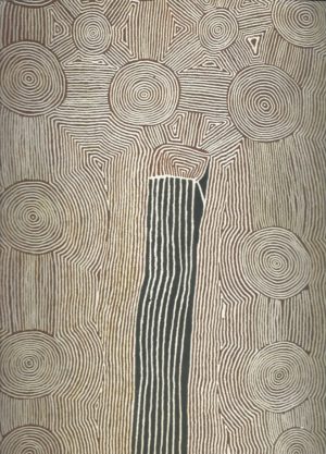 Papunya Tula: Genesis and Genius