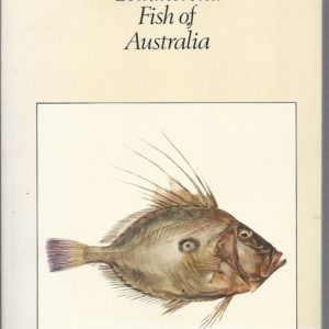 Commercial Fish of Australia