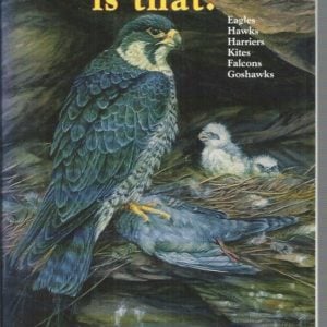 Which Bird of Prey is That? – Field Guide to the Identification of Australian Birds of Prey – Eagles, Hawks, Harriers, Kites, Falcons, Goshawks