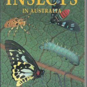Field Guide to Insects In Australia, A