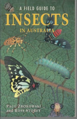 Field Guide to Insects In Australia, A