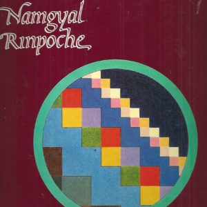 Namgyal Rinpoche: Unfolding Through Art