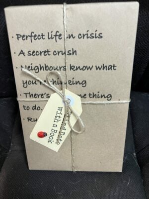 BLIND DATE WITH A BOOK: Perfect life in crisis