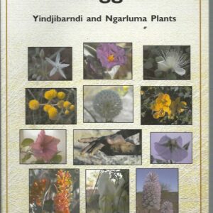 Wanggalili : Yindjibarndi and Ngarluma Plants