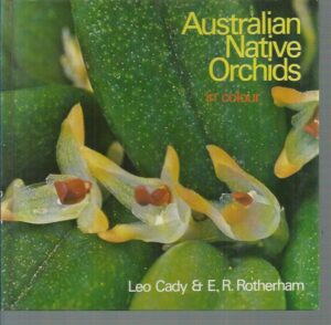 Australian Native Orchids in Colour