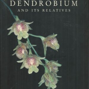 Dendrobium and Its Relatives (Orchids)