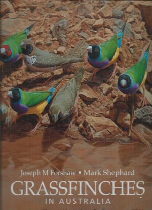 Grassfinches in Australia