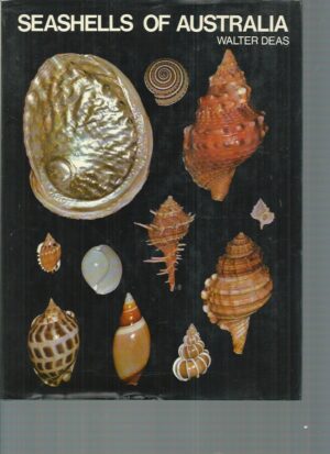 Seashells Of Australia