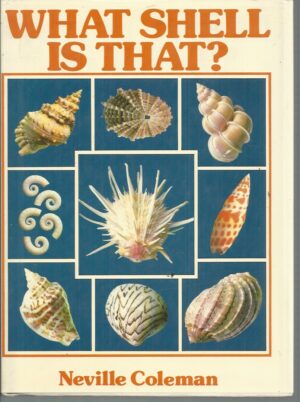 What Shell Is That?
