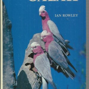 GALAH, THE: Behavioural Ecology of Galah Eolophus Roseicapillus in the Wheatbelt of Western Australia