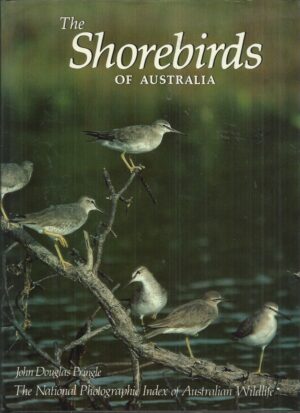 Shorebirds of Australia, The. The National Photographic Index of Australian Wildlife