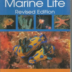 Australian Marine Life: Plants and Animals of the Temperate Waters