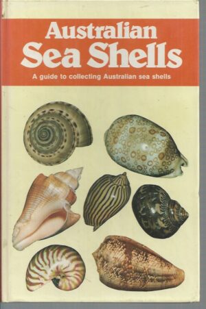 Australian Sea Shells: A Guide to Collecting Australian Sea Shells