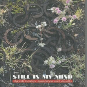 Still in my Mind : Gurindji location, experience and visuality