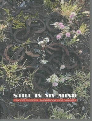 Still in my Mind : Gurindji location, experience and visuality
