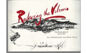 Redressing the Volcano: The Restoration of Tower Hill
