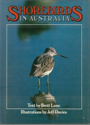 Shorebirds in Australia