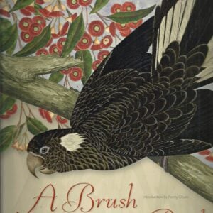 Brush with Birds, A: Australian Bird Art from the National Library of Australia