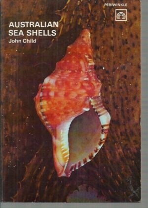 Australian Sea Shells