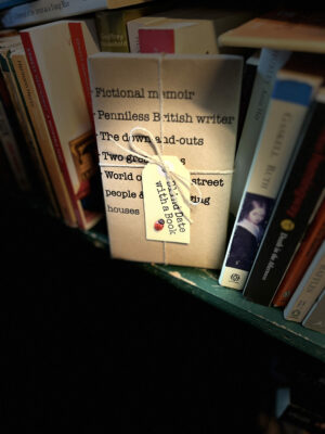 BLIND DATE WITH A BOOK: Fictional memoir