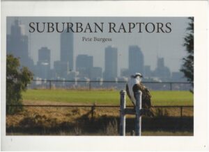 Suburban Raptors
