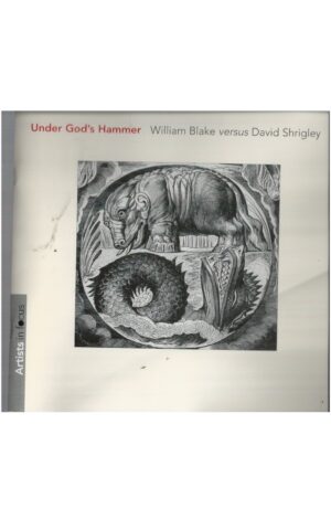 Under God's Hammer: William Blake versus David Shrigley