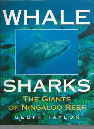 Whale Sharks: The Giants of Ningaloo Reef