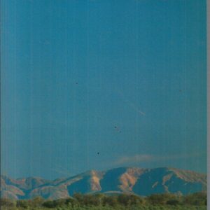 DESART: Aboriginal Art And Craft Centres In Central Australia