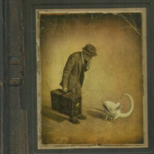 The Arrival (Shaun Tan)