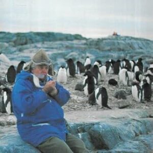 Sitting on Penguins: Australia and the Antarctic
