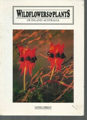 Wildflowers and Plants of Inland Australia