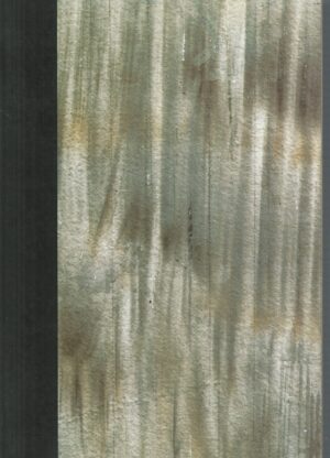 Ann Hamilton: Sao Paulo/Seattle : A Document of Two Installations